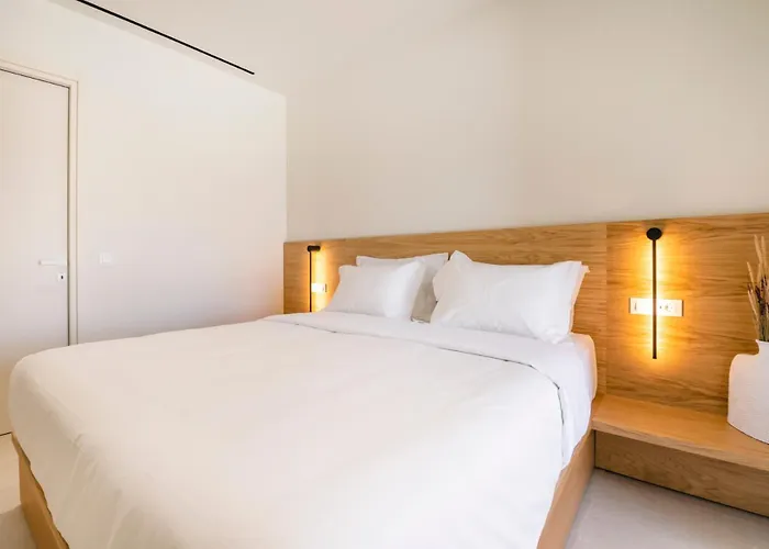 别墅 Vibe Of Mykonos