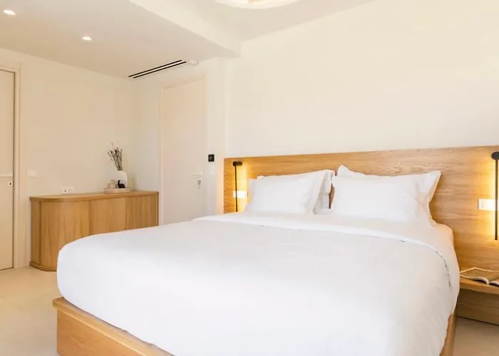 别墅 Vibe Of Mykonos Elia (Mykonos)