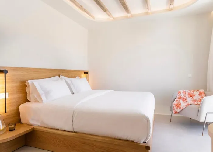 Vibe Of Mykonos Elia (Mykonos)